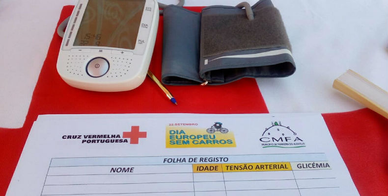 fotobejasemcarros790x400